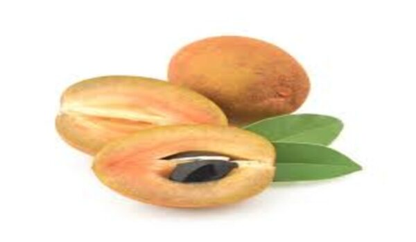 Chikoo - Image 3