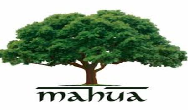 Mahua - Image 5