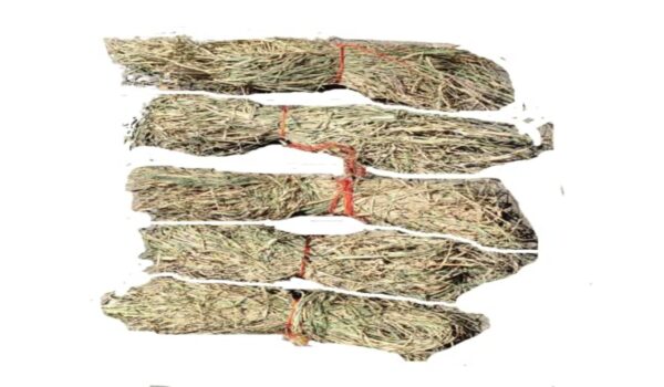 Havan Sticks Type - Image 10
