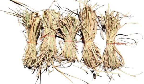 Havan Sticks Type - Image 12