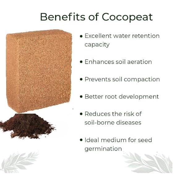 Cocopeat