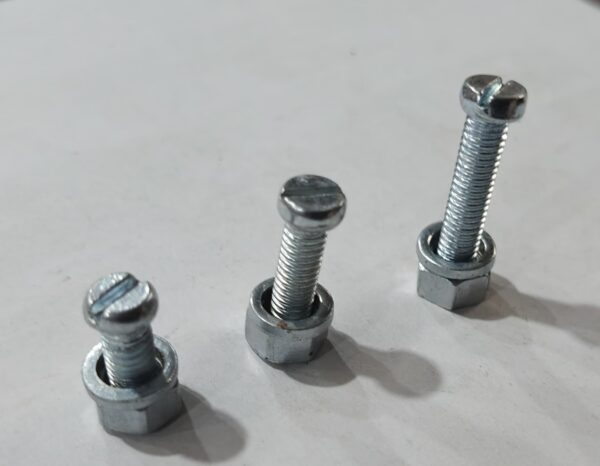 Screw