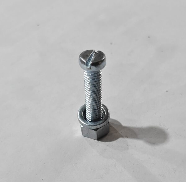 Screw - Image 5
