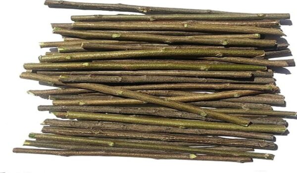 Neem Sticks - Image 2