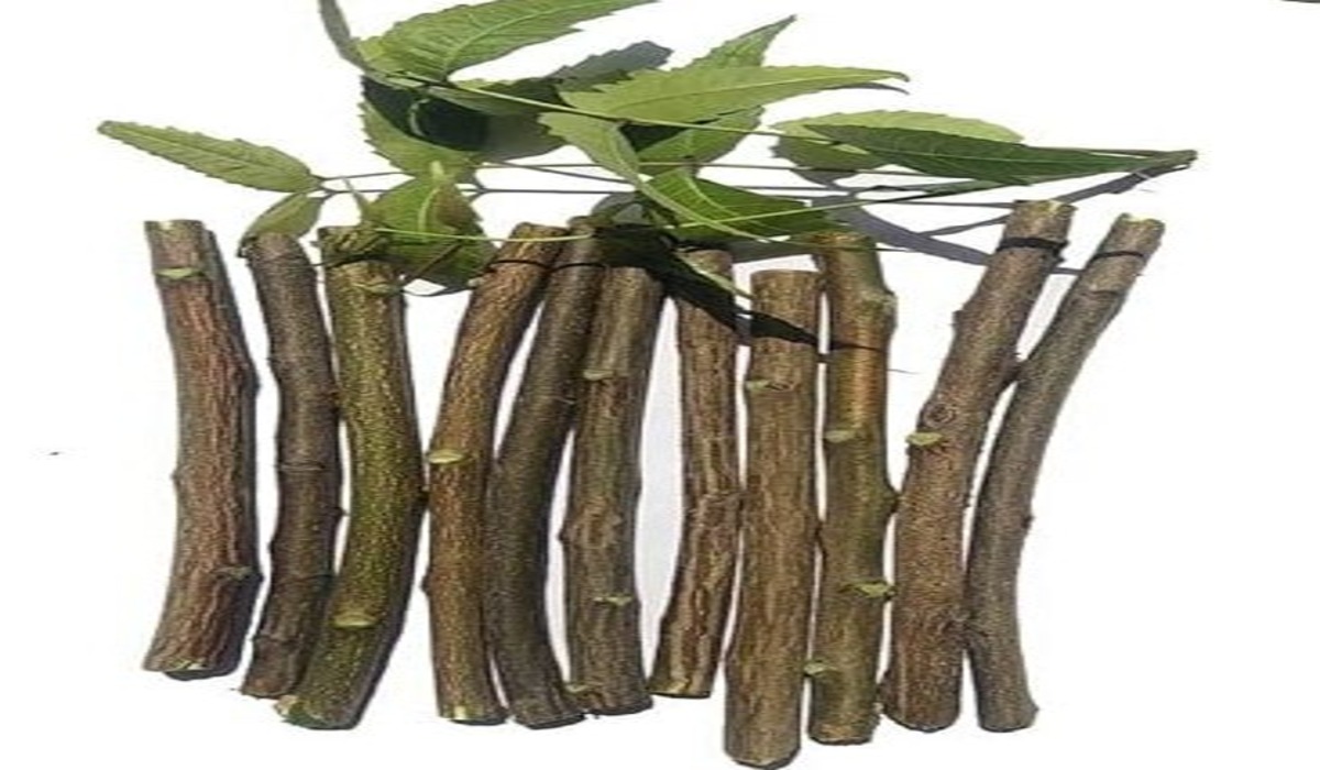 Neem Sticks