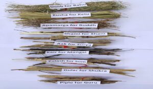 Havan Sticks Type