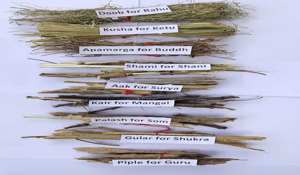 Havan Sticks Type