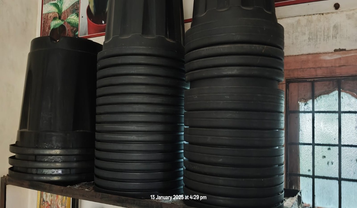 Black Pot