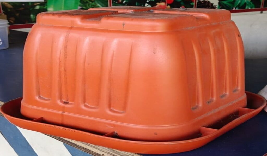 Square Pot