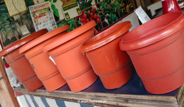 Brown Pot