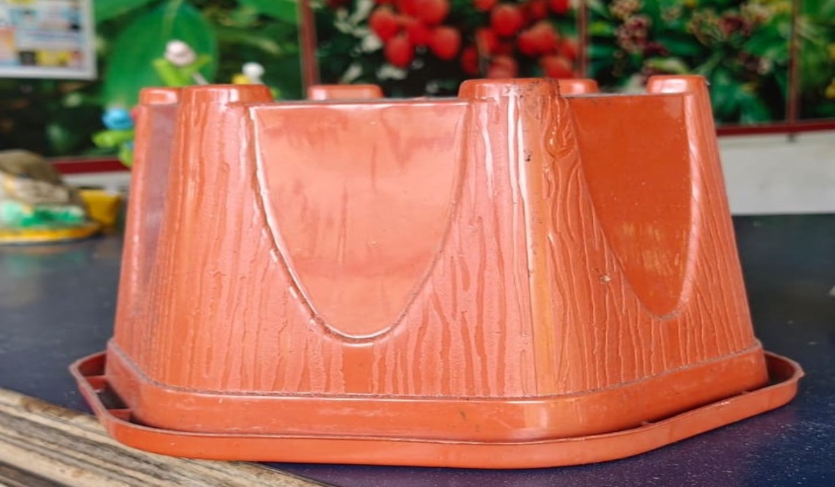 Hexa Pot