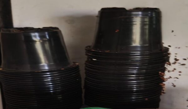 Black Pot - Image 2