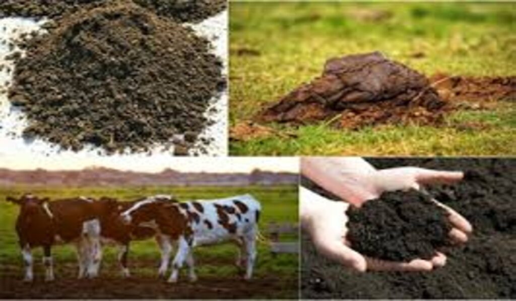 Compost