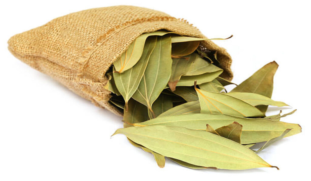 Spices Plants