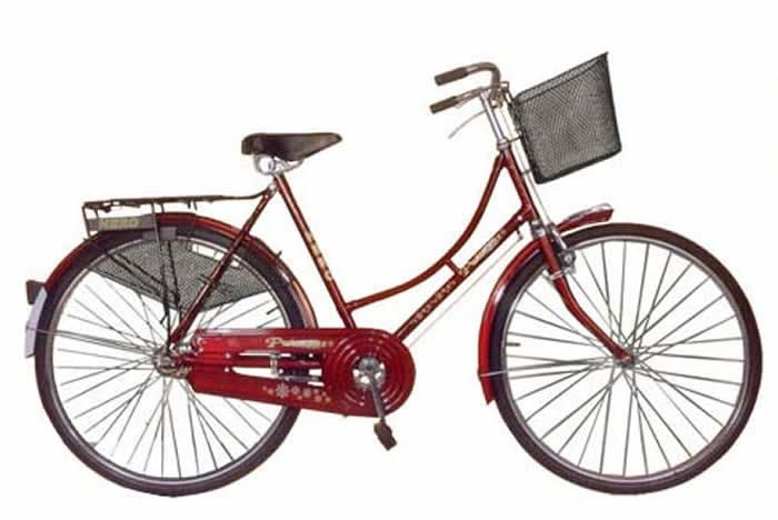 Ladies Cycle 20"