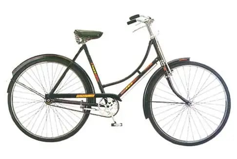 Ladies Cycle 22"